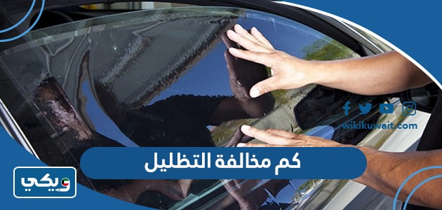 كم مخالفة التظليل