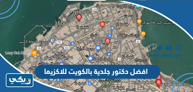 افضل دكتور جلدية بالكويت للاكزيم