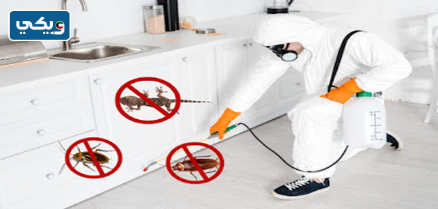شركة مكافحة حشرات البركة