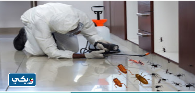 شركة مكافحة حشرات وقوارض القادسية