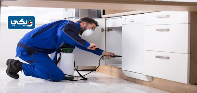 شركة مكافحة حشرات وقوارض بالكويت