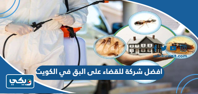 افضل شركة للقضاء على البق في الكويت
