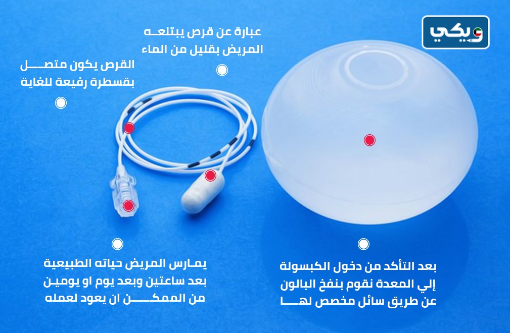 الكبسولة المبرمجة
