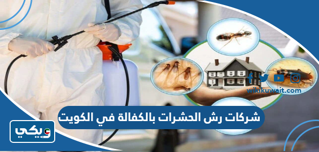 شركات رش الحشرات بالكفالة في الكويت
