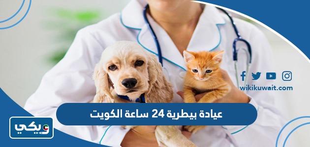 عيادة بيطرية 24 ساعة الكويت