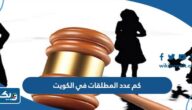 كم عدد المطلقات في الكويت 2025 كم عدد المطلقات في الكويت 2025