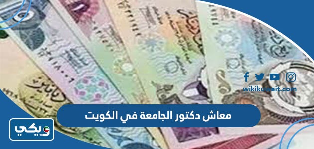 معاش دكتور الجامعة في الكويت