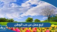 اربع جمل عن حب الوطن اربع جمل عن حب الوطن