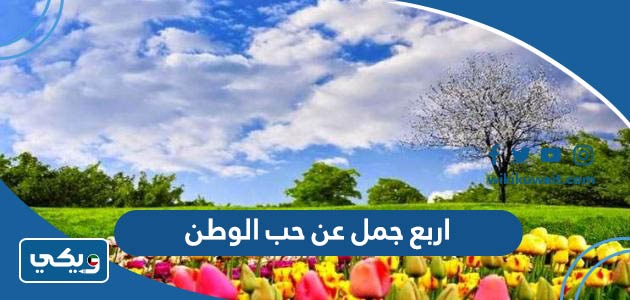 اربع جمل عن حب الوطن