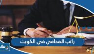 كم راتب المحامي في الكويت 2025 كم راتب المحامي في الكويت 2025