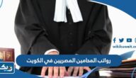 كم رواتب المحامين المصريين في الكويت 2025 كم رواتب المحامين المصريين في الكويت 2025