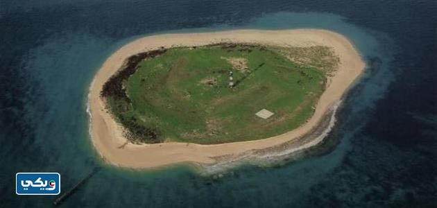 جزيرة أم النمل