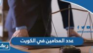 كم عدد المحامين في الكويت 2025
