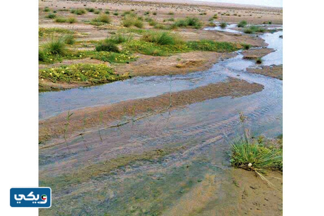 ما اسم اكبر محمية طبيعية في دولة الكويت
