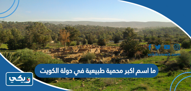 ما اسم اكبر محمية طبيعية في دولة الكويت