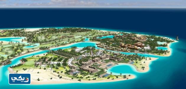 جزيرة فيلكا