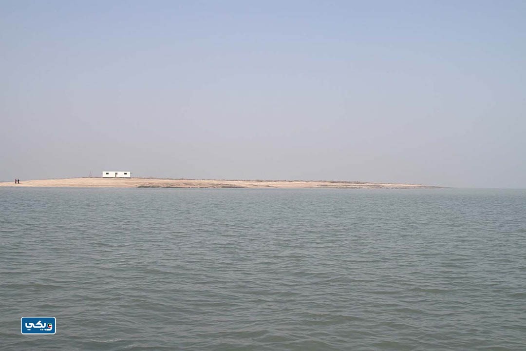 جزيرة مسكان