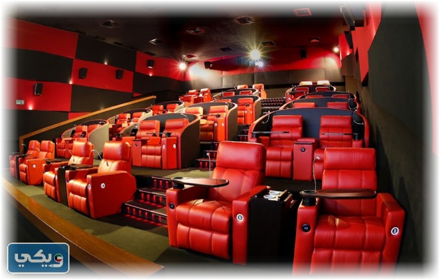 أفضل 10 أنشطة عند زيارة برج الحمراء الكويت