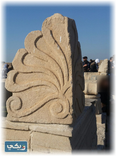 التقاط الصور التذكارية في فيلكا