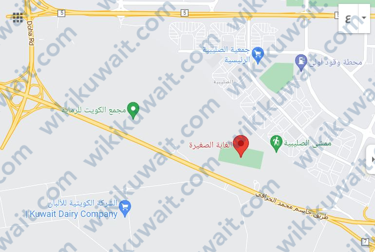 أين موقع الغابة الصغيرة الكويت