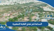 الساعة كم تفتح الغابة الصغيرة في الكويت