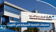 تخصصات الجامعة الأمريكية AUK في الكويت تخصصات الجامعة الأمريكية AUK في الكويت
