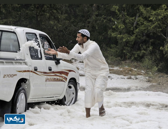 صور الكويت الثلاثاء