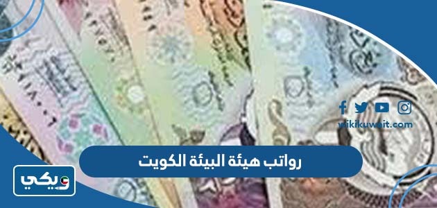 رواتب هيئة البيئة الكويت