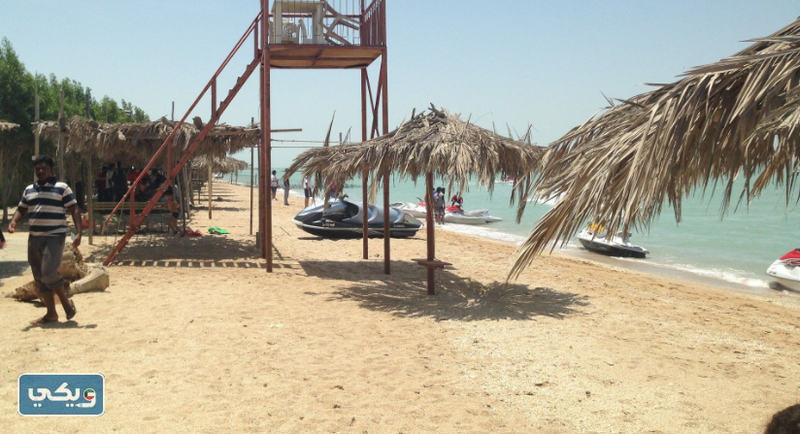 صور جزيرة فيلكا حديثا 2023