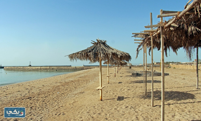 صور جزيرة فيلكا حديثا 2023