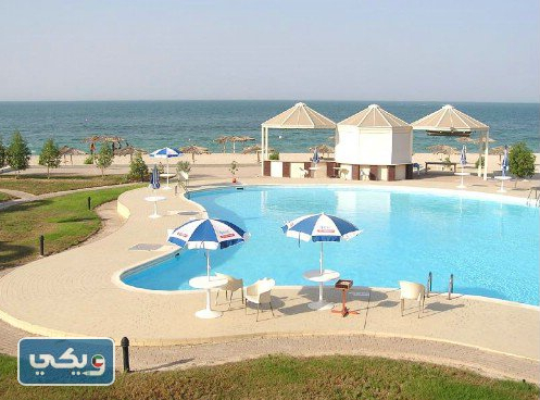 صور فعاليات جزيرة فيلكا
