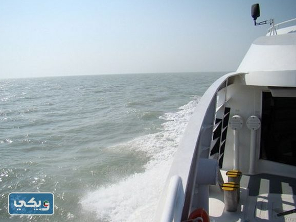 صور فعاليات جزيرة فيلكا