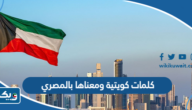 كلمات كويتية ومعناها بالمصري