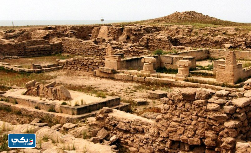 ما هي آثار ومعالم جزيرة فيلكا