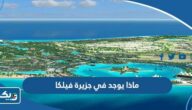 ماذا يوجد في جزيرة فيلكا