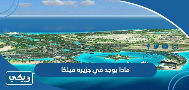 ماذا يوجد في جزيرة فيلكا