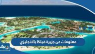 معلومات عن جزيرة فيلكا بالانجليزي