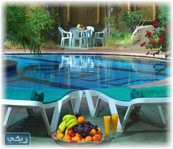 معلومات عن فندق ايكاروس جزيرة فيلكا