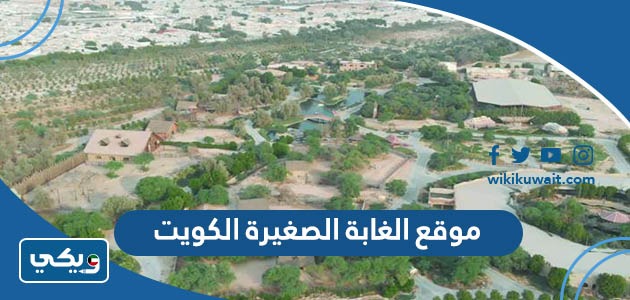 موقع الغابة الصغيرة الكويت