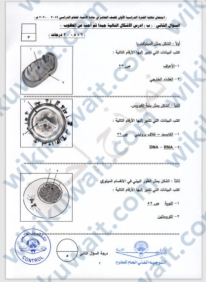 نماذج امتحانات احياء للصف العاشر الفصل الاول