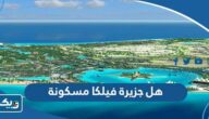 هل جزيرة فيلكا مسكونه