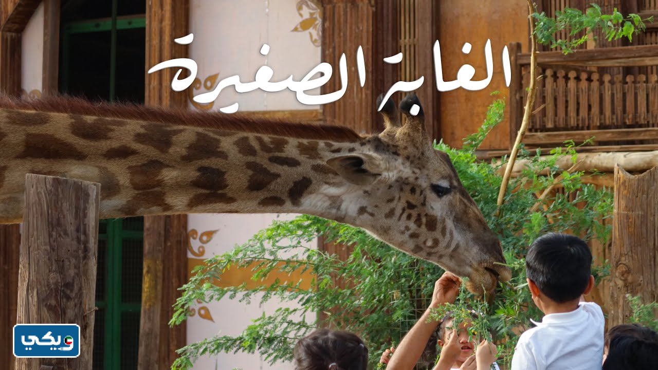 الغابة الصغيرة