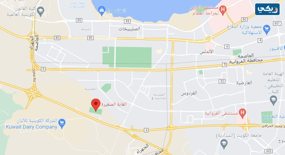 اين تقع الغابه الصغيره بالكويت