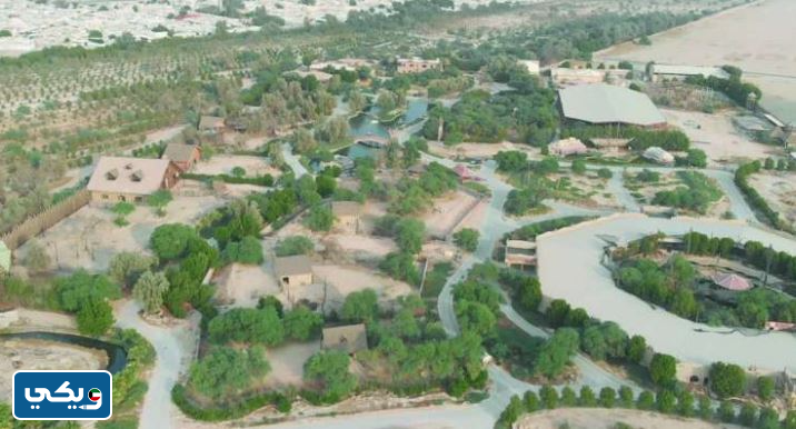 الغابة الصغيرة