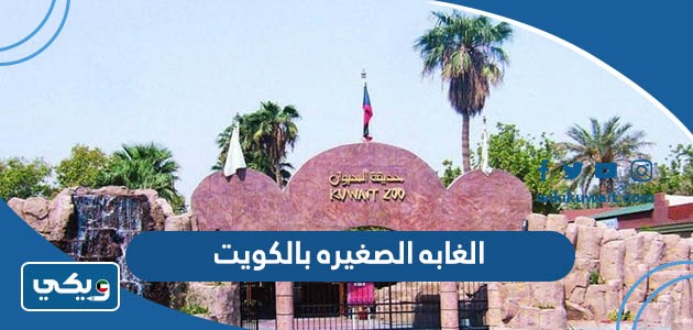 الغابه الصغيره بالكويت