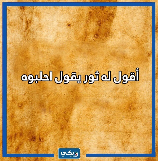 امثال كويتية مضحكة بالصور