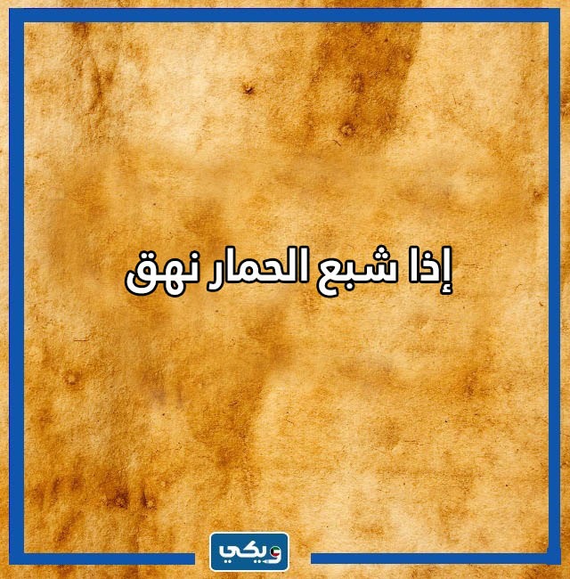 امثال كويتية مضحكة بالصور