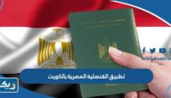تحميل تطبيق القنصلية المصرية بالكويت للايفون والاندرويد تحميل تطبيق القنصلية المصرية بالكويت للايفون والاندرويد
