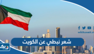 ابيات شعر نبطي عن الكويت ابيات شعر نبطي عن الكويت