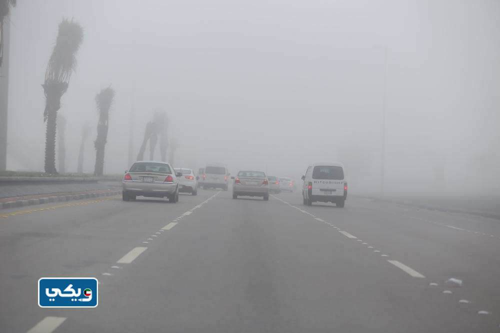 صور الضباب في الكويت أمس